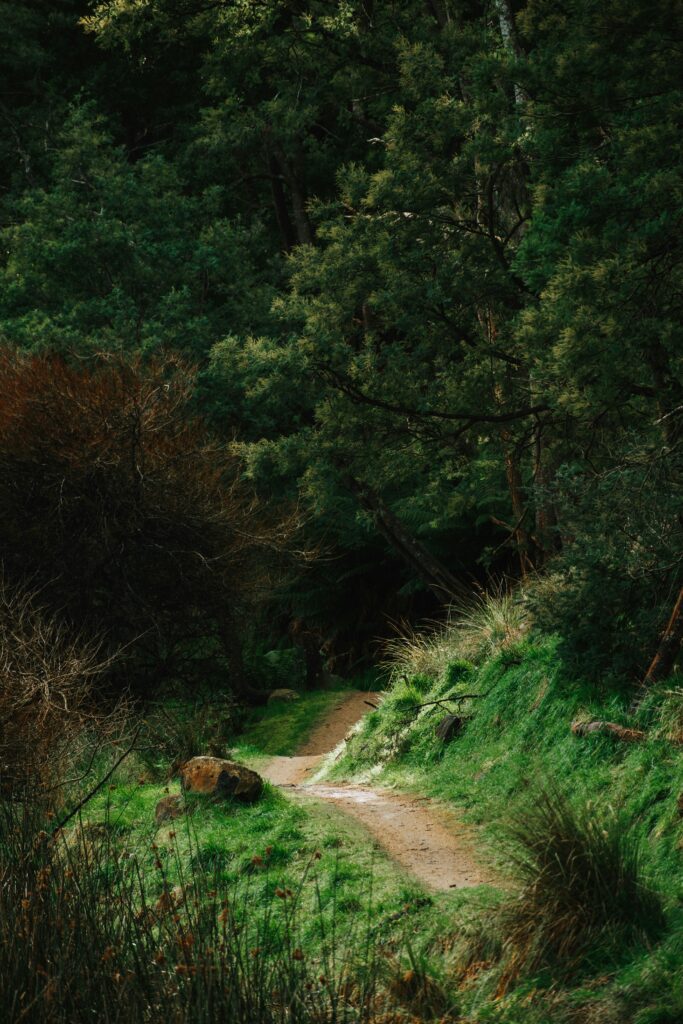 Are Ebikes Allowed On Bike Trails?