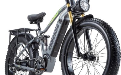 DAMSON Electric Bike Review