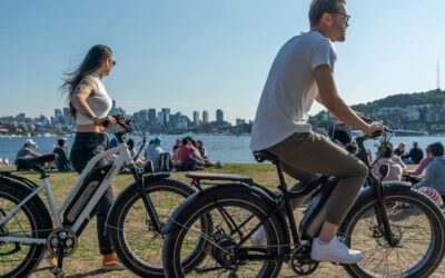 Himiway Cruiser Long Range Electric Bike Review