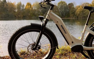 Himiway Zebra Electric Bike Review