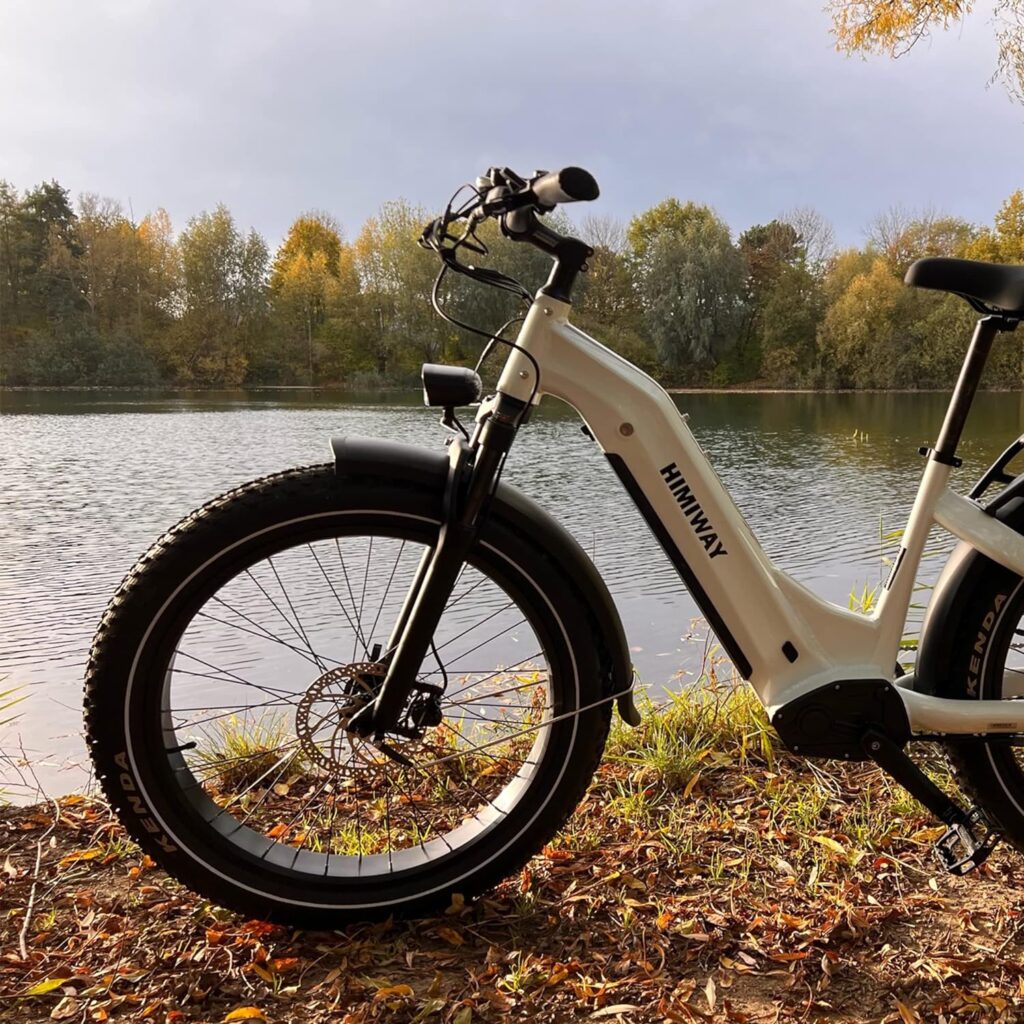 Himiway Zebra 26x4 Electric Bike, 80Miles Range 48V 20Ah Battery 750W Ebike, 400LBS Payload, 25MPH, 7 Speed