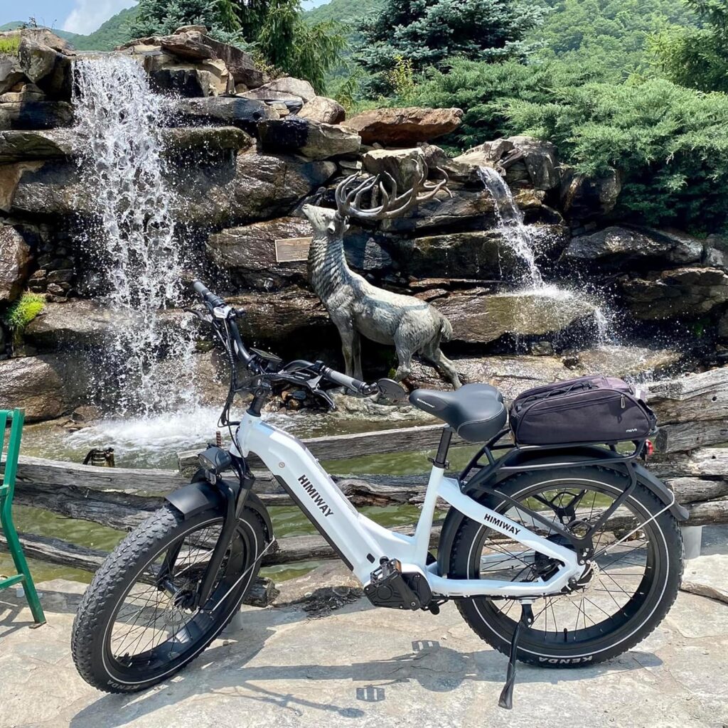 Himiway Zebra 26x4 Electric Bike, 80Miles Range 48V 20Ah Battery 750W Ebike, 400LBS Payload, 25MPH, 7 Speed