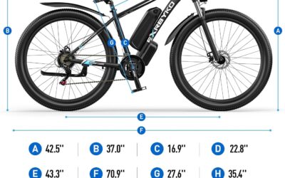 29” Electric Bike Review