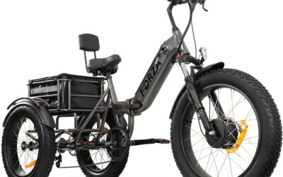 Forza Electric Bike Review