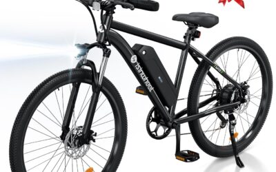 M10 Electric Bike Adult 500W Review