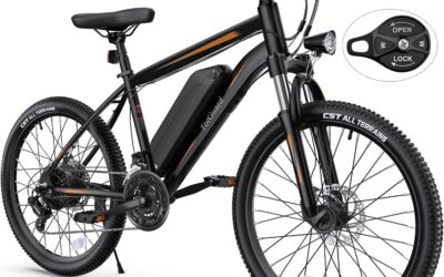 TotGuard Electric Bike Review