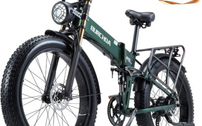 DAMSON Folding Electric Bike Review